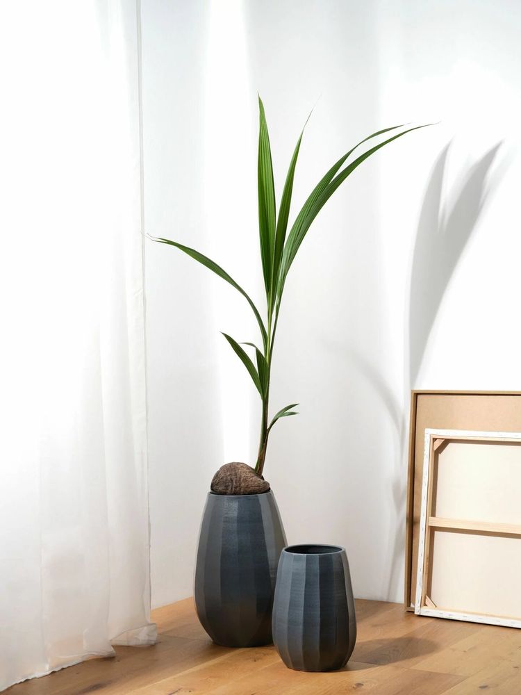 Vases - CLIFF vases - ASA SELECTION