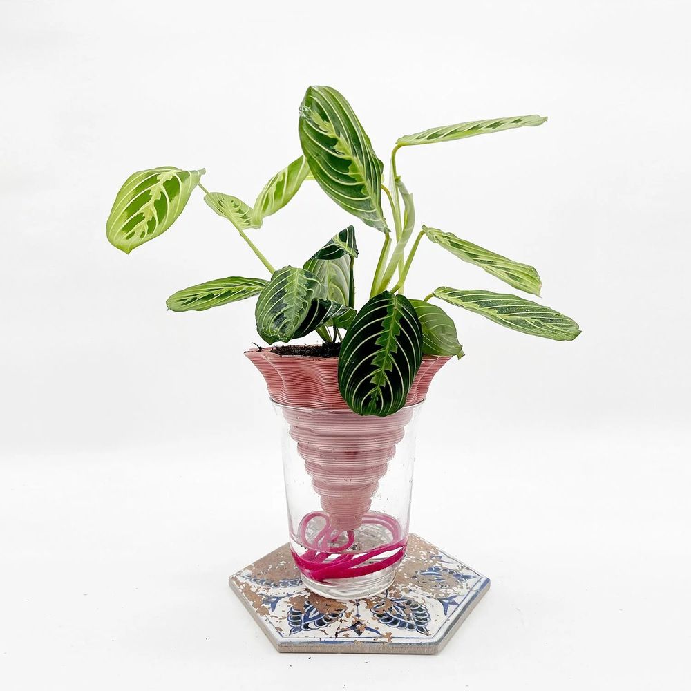 Vases - Clay pot -NOMADE ROSE- design - 3D auto-irrigating - COMMON PLACE YOUR URBAN JUNGLE
