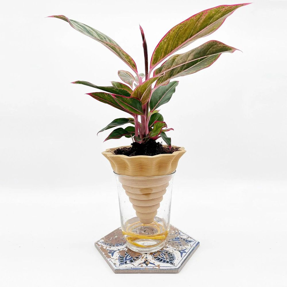 Vases - Clay pot -NOMADE YELLOW- design - 3D auto-irrigating - COMMON PLACE YOUR URBAN JUNGLE