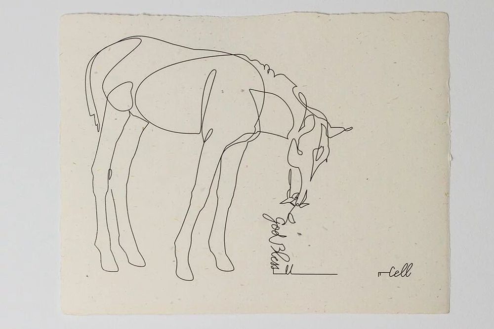 Cadeaux - Carte de correspondance 12,5x16,6cm PAPIER FAIT MAIN - COSETTE ET LES LYS