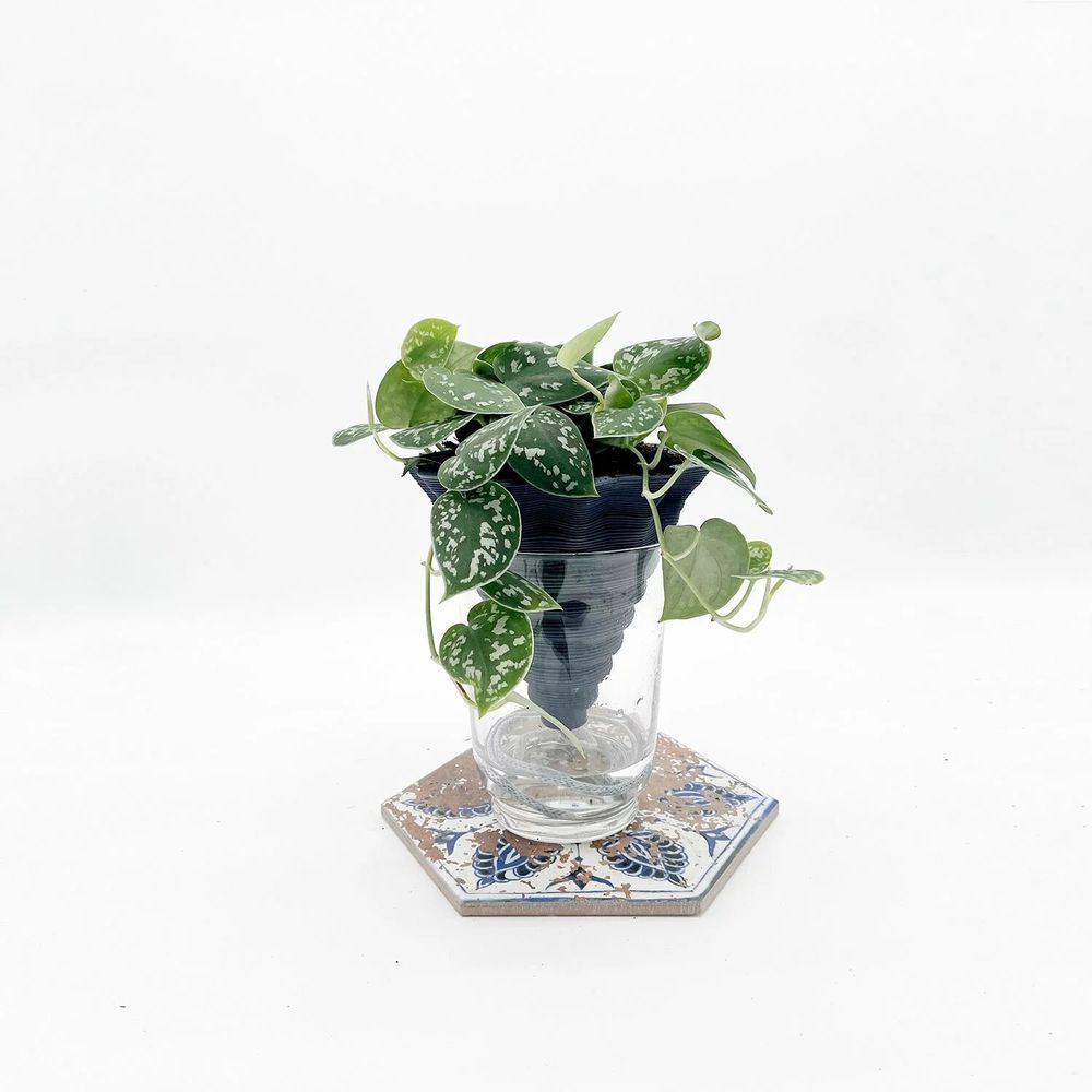 Vases - Clay pot -NOMADE BLUE PETROL- design - 3D auto-irrigating - COMMON PLACE YOUR URBAN JUNGLE