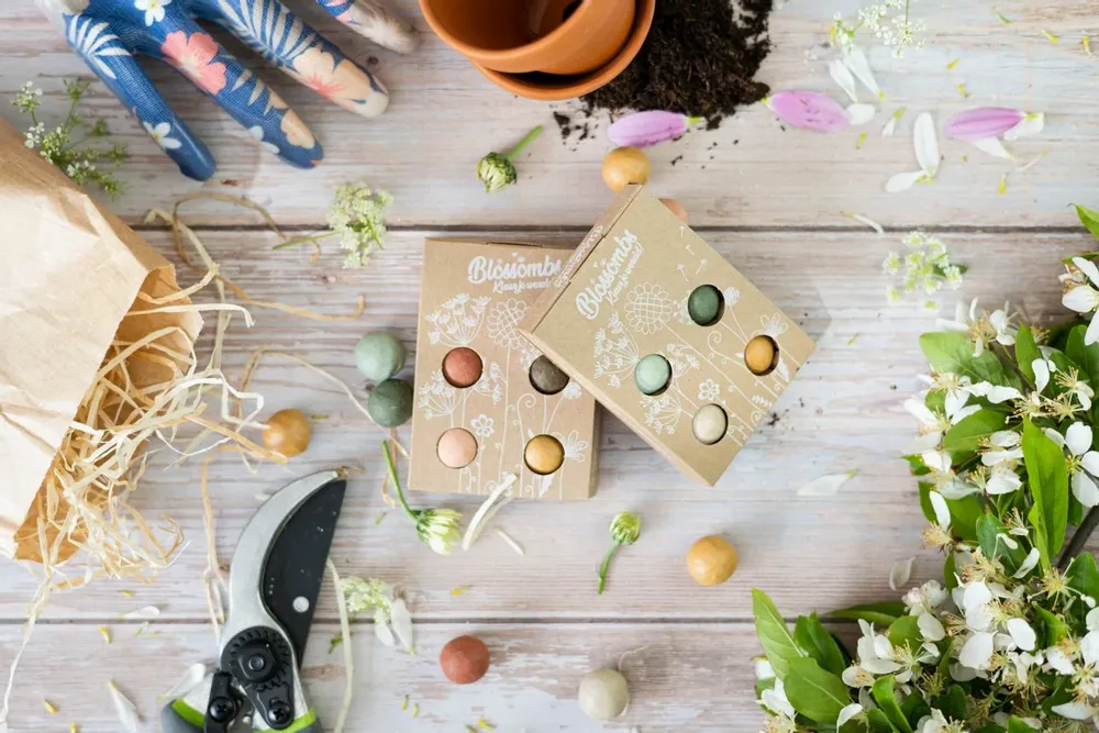 Cadeaux - Coffret cadeau Blossombs - Des fleurs pour toi - 4 bombes à graines - BLOSSOMBS