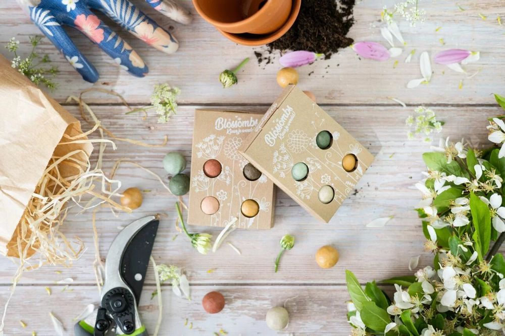 Cadeaux - Petit coffret cadeau avec 4 bombes à graines Blossombs - BLOSSOMBS