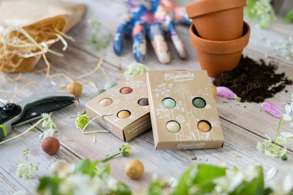 Cadeaux - Petit coffret cadeau avec 4 bombes à graines Blossombs - BLOSSOMBS