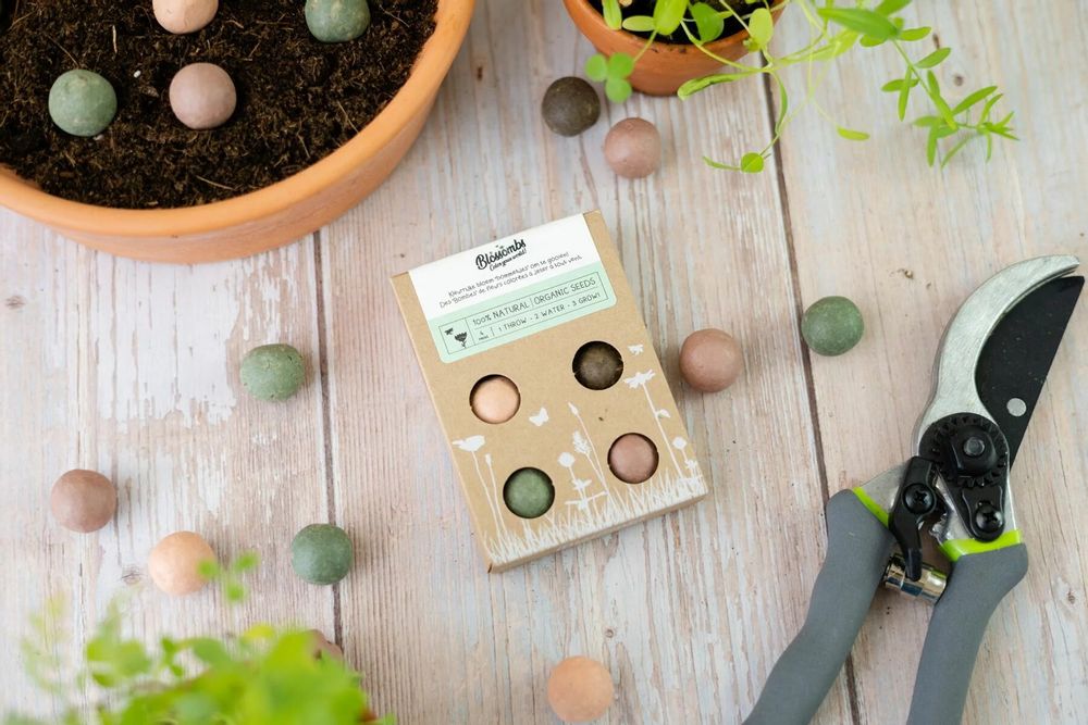 Cadeaux - Petit coffret cadeau avec 4 bombes à graines Blossombs - BLOSSOMBS