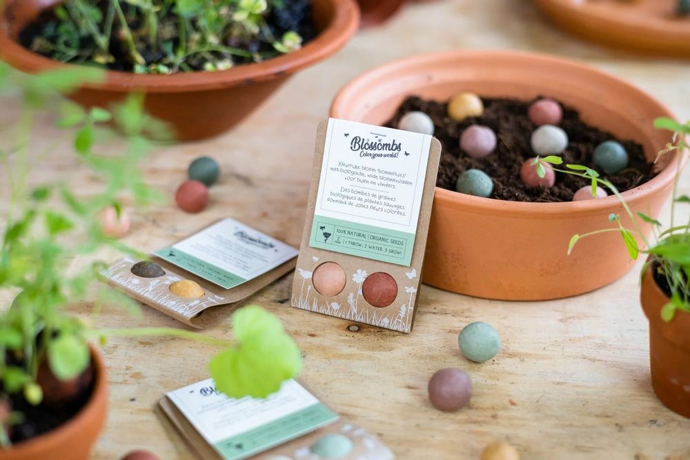 Gifts - Give-Away with 2 Blossombs Seed Bombs - BLOSSOMBS