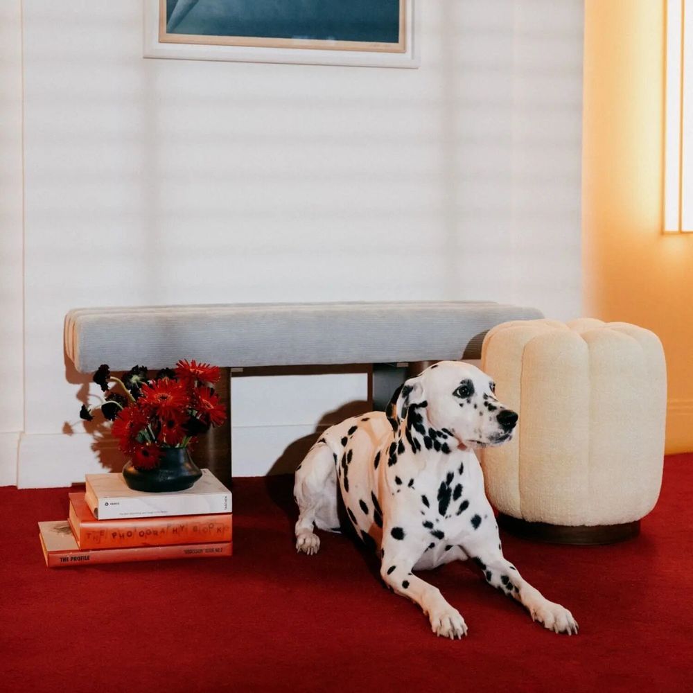 Benches - Pompidou - CLOVI PARIS