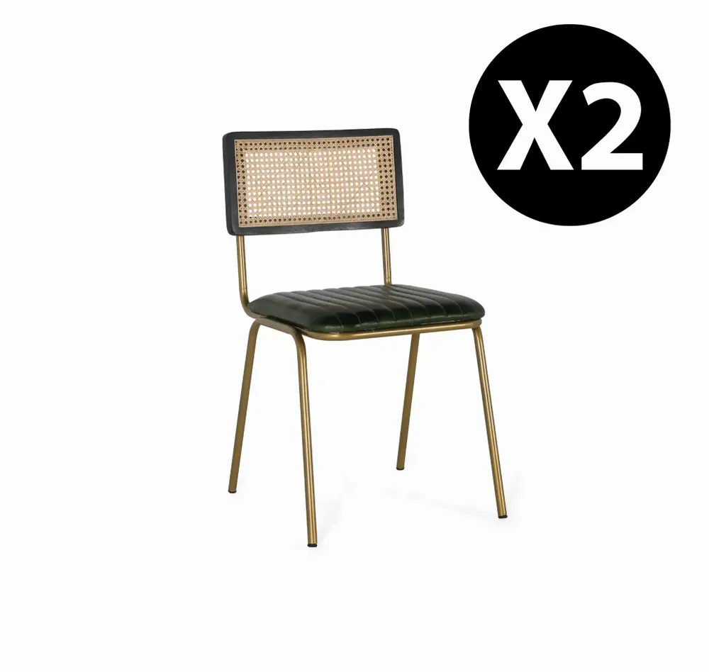 Chaises - Lot de 2 chaises en cuir et rotin - GINER Y COLOMER
