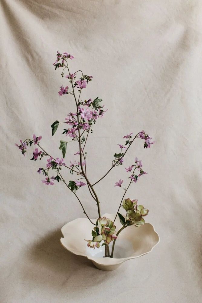 Formal plates - Floral plate with wide flange - MARIA MONASTERIO CERAMIC