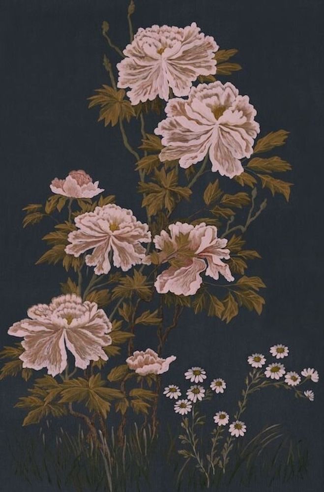 Wallpaper - Wall Murals - DAMI AND EM DESIGN