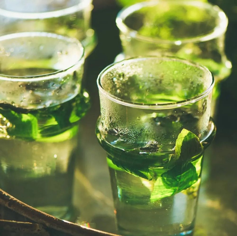 Bougies - La bougie qui devient plante senteur Verveine - LUMINANTE