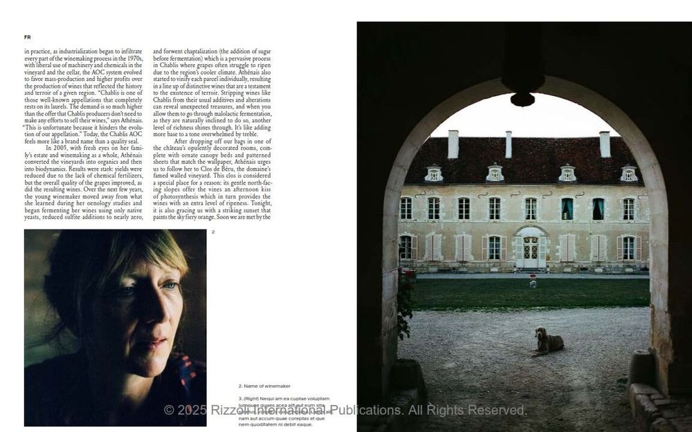 Decorative objects - Spilled - Stories and Recipes from Natural Winemakers - NEW MAGS