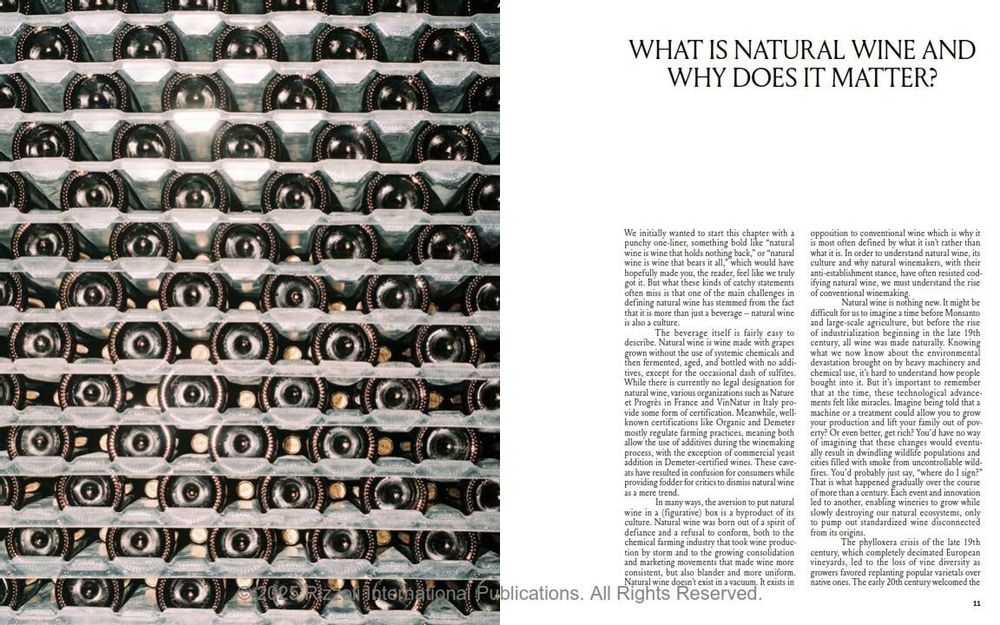 Decorative objects - Spilled - Stories and Recipes from Natural Winemakers - NEW MAGS