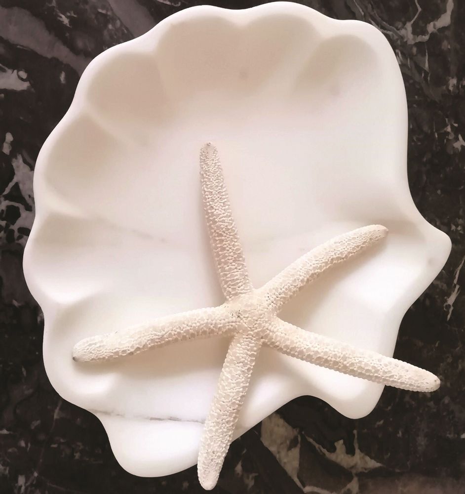 Plateaux - SHELL - VIEDELMARMO