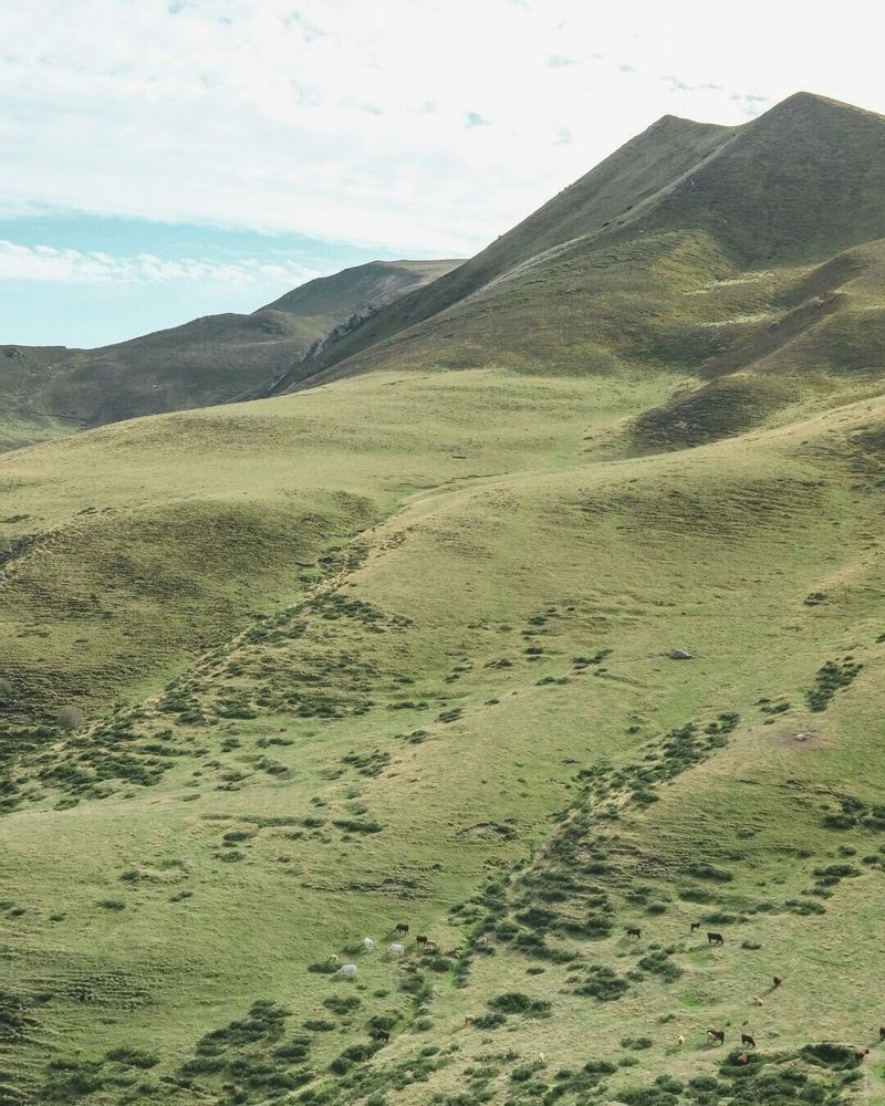 Parfums pour soi et eaux de toilette - Eau de parfum - Eden Volcanique - AUVERGNE - POÉCILE