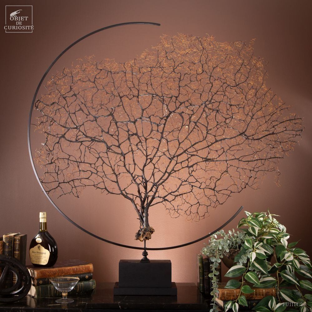 Objets de décoration - Nos produits incontournables. - OBJET DE CURIOSITÉ