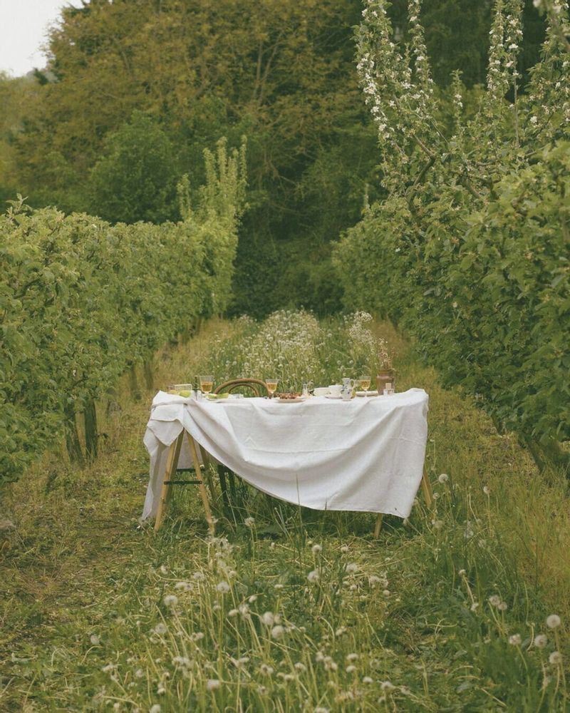 Fragrance for women & men - Eau de parfum - Jardin Originel - NORMANDIE - POÉCILE