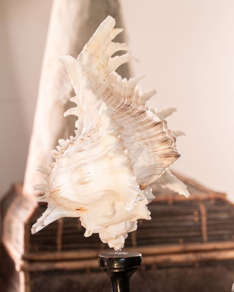 Objets de décoration - Collection Calypso - ATELIERS DAVOY