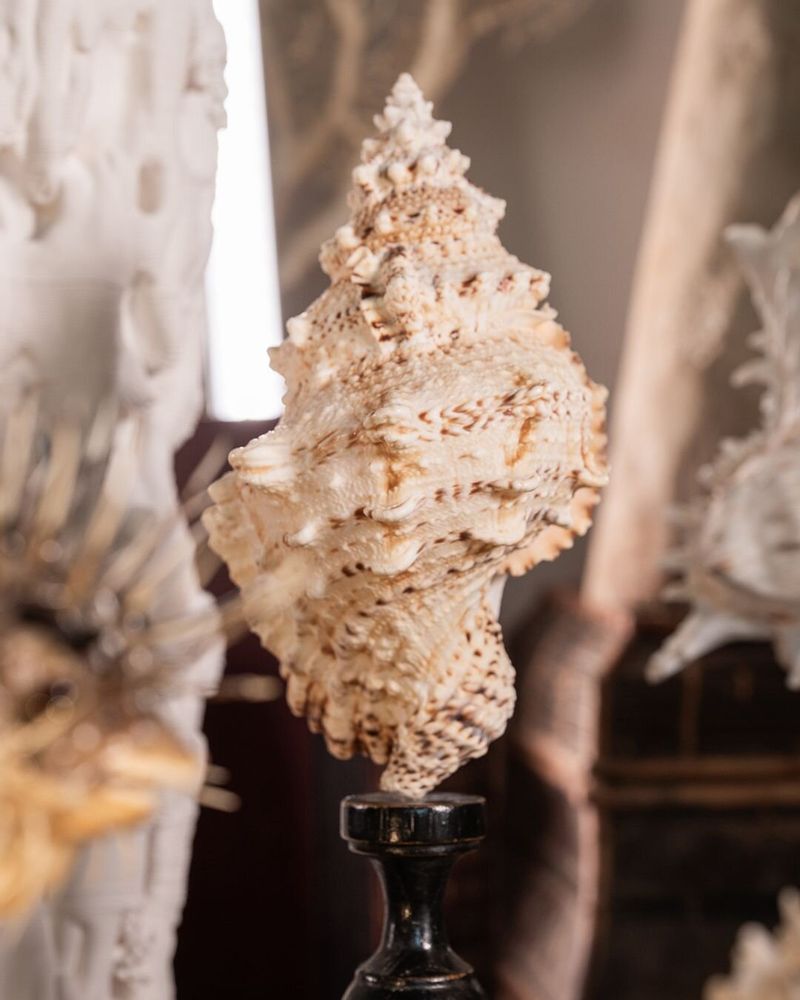 Objets de décoration - Collection Calypso - ATELIERS DAVOY