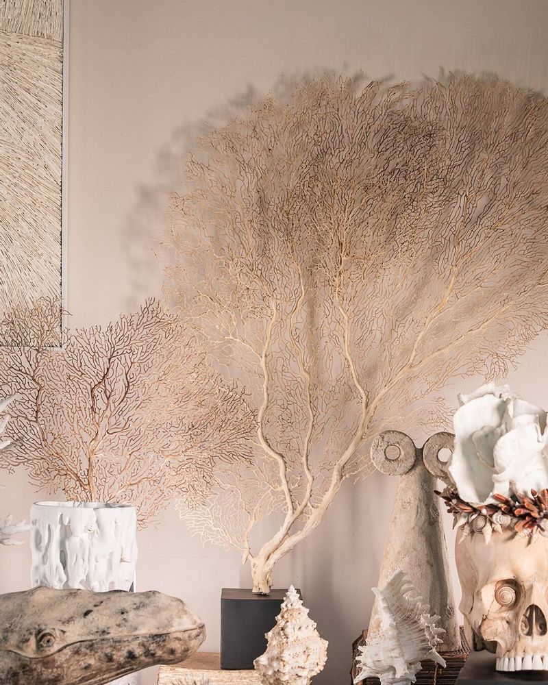 Objets de décoration - Collection Calypso - ATELIERS DAVOY