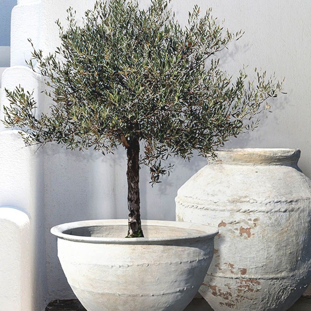 Pots de fleurs - Poteries - ATELIERS DAVOY