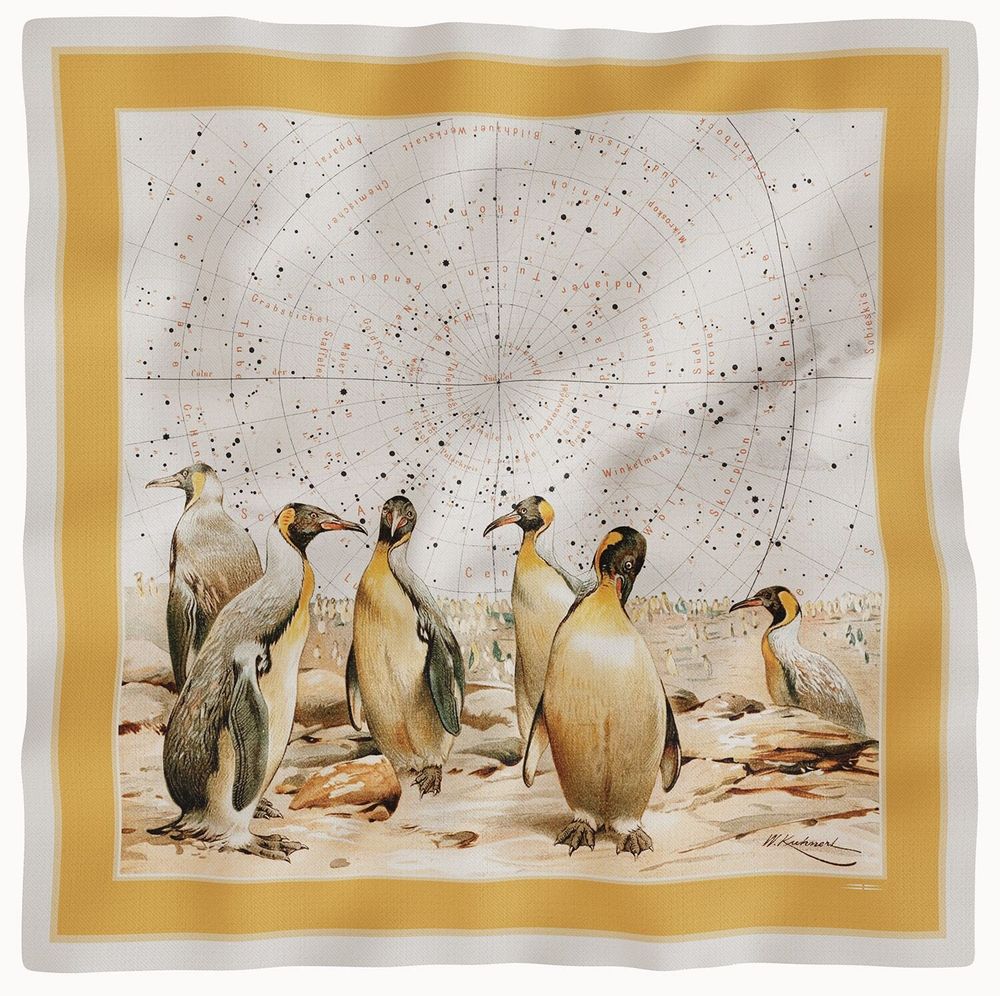 Foulards et écharpes - Foulard en Soft Twill - MAOULI