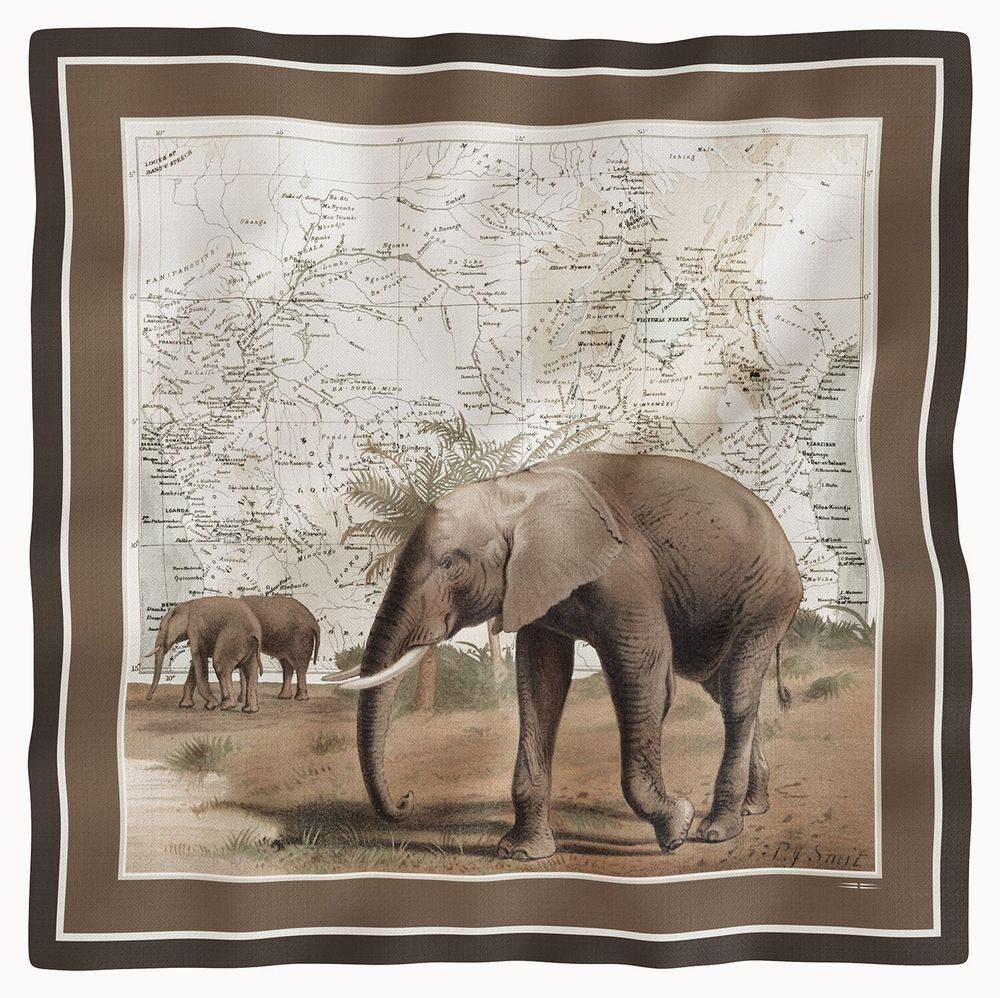 Foulards et écharpes - Foulard en Soft Twill - MAOULI