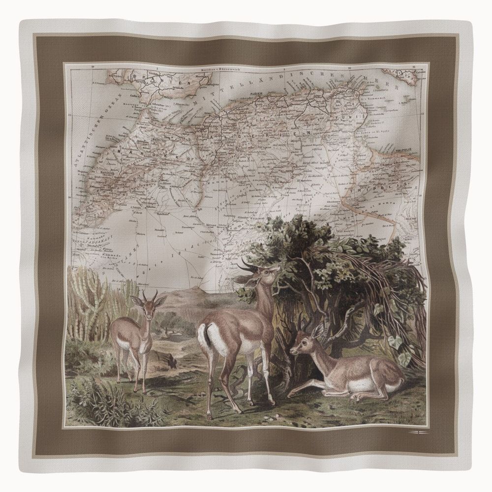 Foulards et écharpes - Foulard en Soft Twill - MAOULI