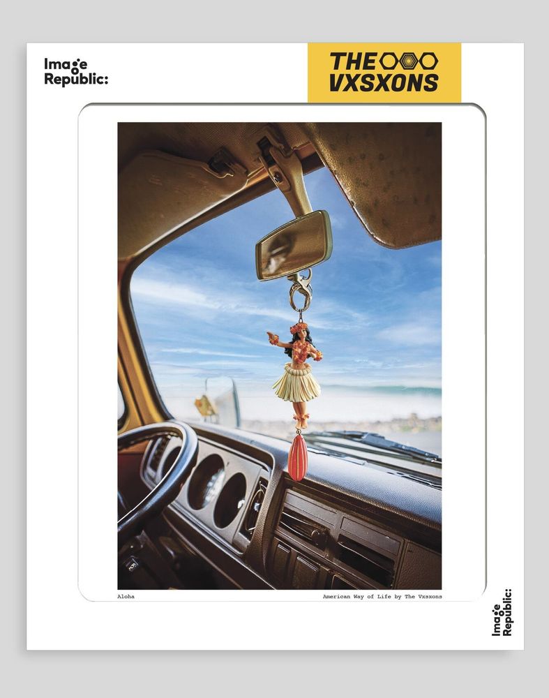 Affiches - The Visions Awol - Affiche - IMAGE REPUBLIC