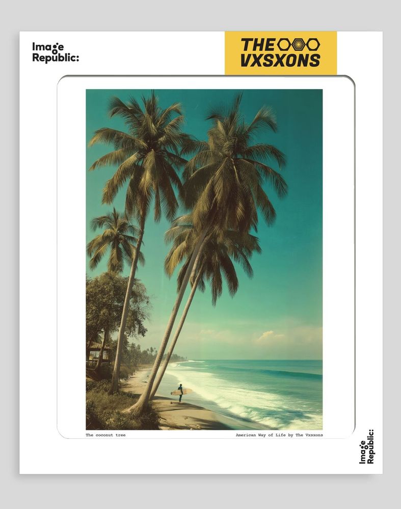 Affiches - The Visions Awol - Affiche - IMAGE REPUBLIC