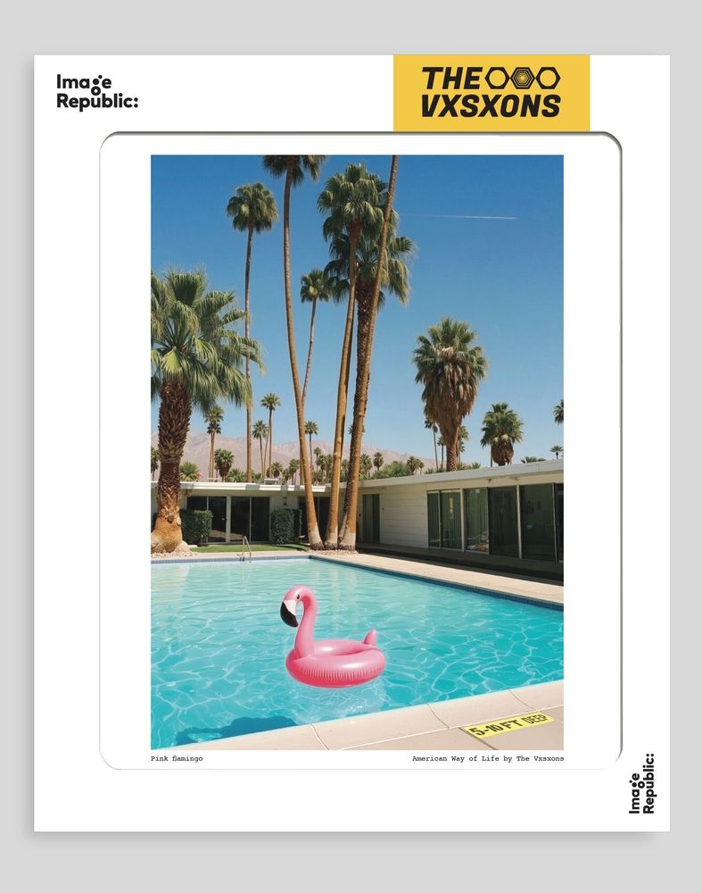 Affiches - The Visions Awol - Affiche - IMAGE REPUBLIC