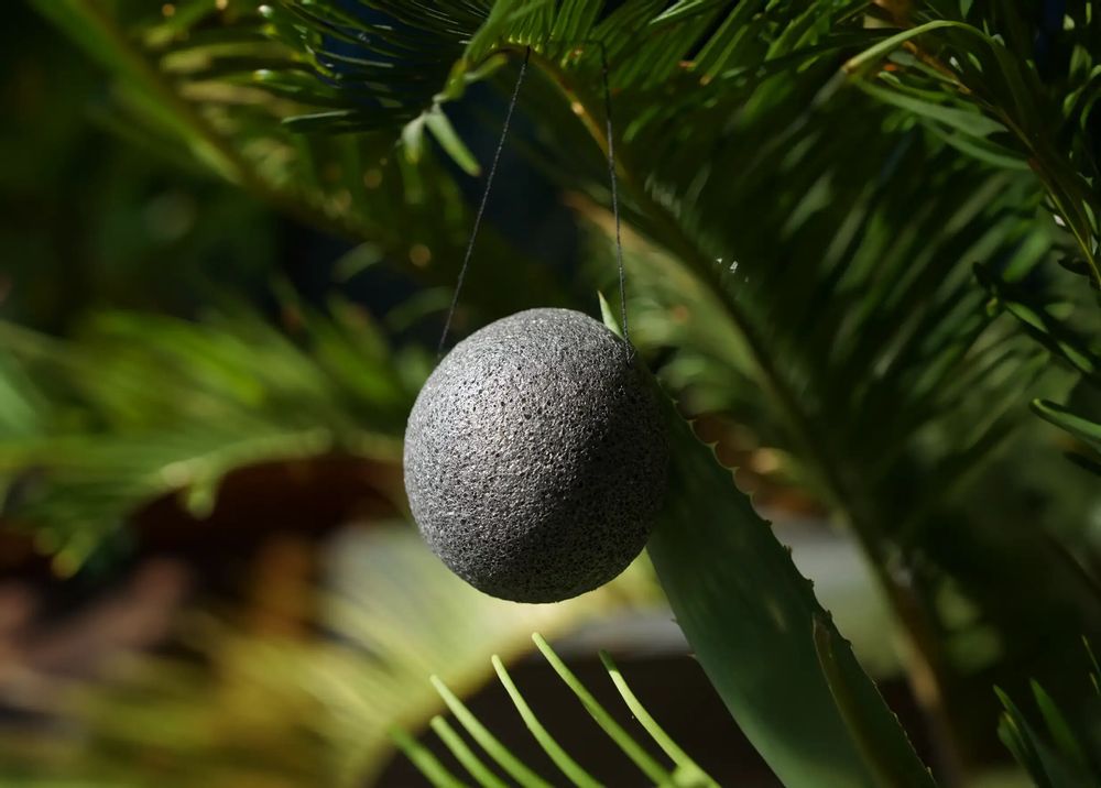 Beauty products - ORGANIC KONJAC SPONGE - WITH BAMBOO CHARCOAL - IN A BOX - KARAWAN AUTHENTIC