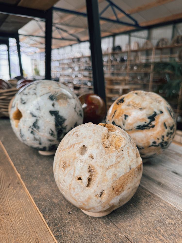 Decorative objects - PETRIFIED WOOD | Decorative objects of petrified wood - XYLEIA PETRIFIED WOOD