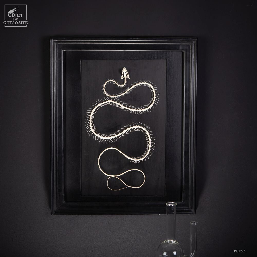 Decorative objects - Our collection of exceptional pieces - OBJET DE CURIOSITÉ