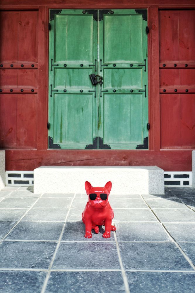 Enceintes et radios - Jarre Bull - DRIVEPRO