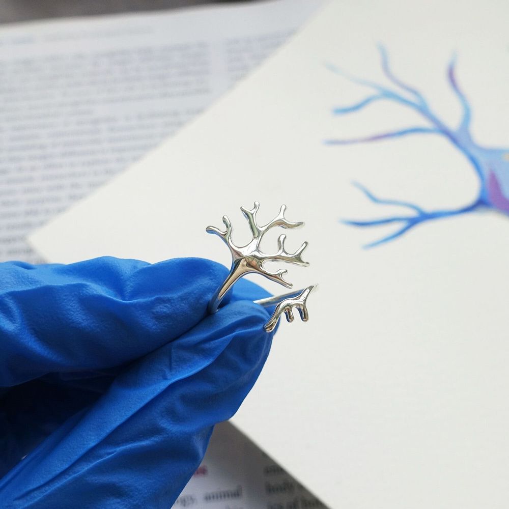 Jewelry - Silver Jewelry by biology - WILD TYPE