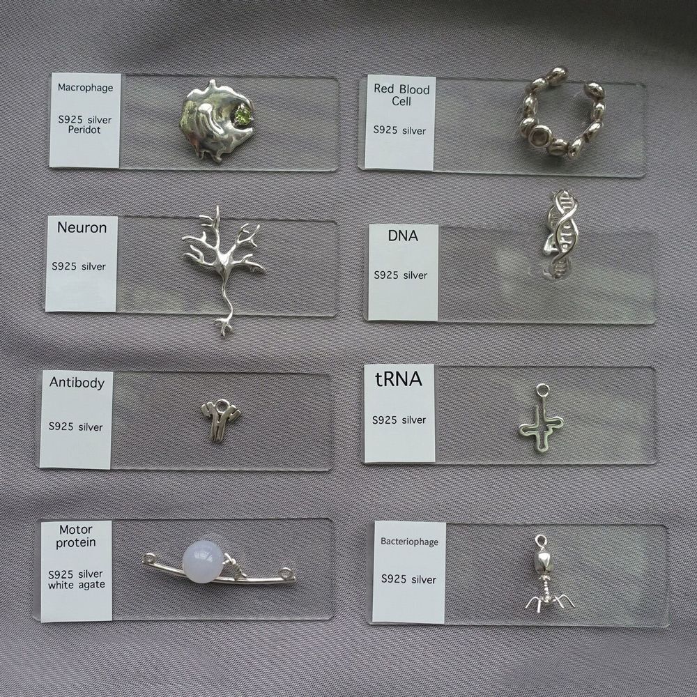 Jewelry - Silver Jewelry by biology - WILD TYPE