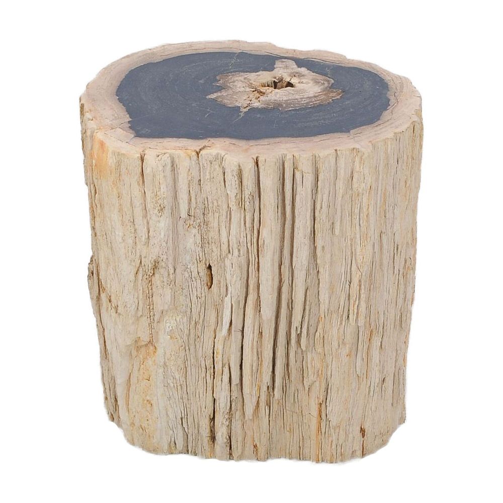 Pièces uniques - Tables d’appoint en bois pétrifié - XYLEIA PETRIFIED WOOD