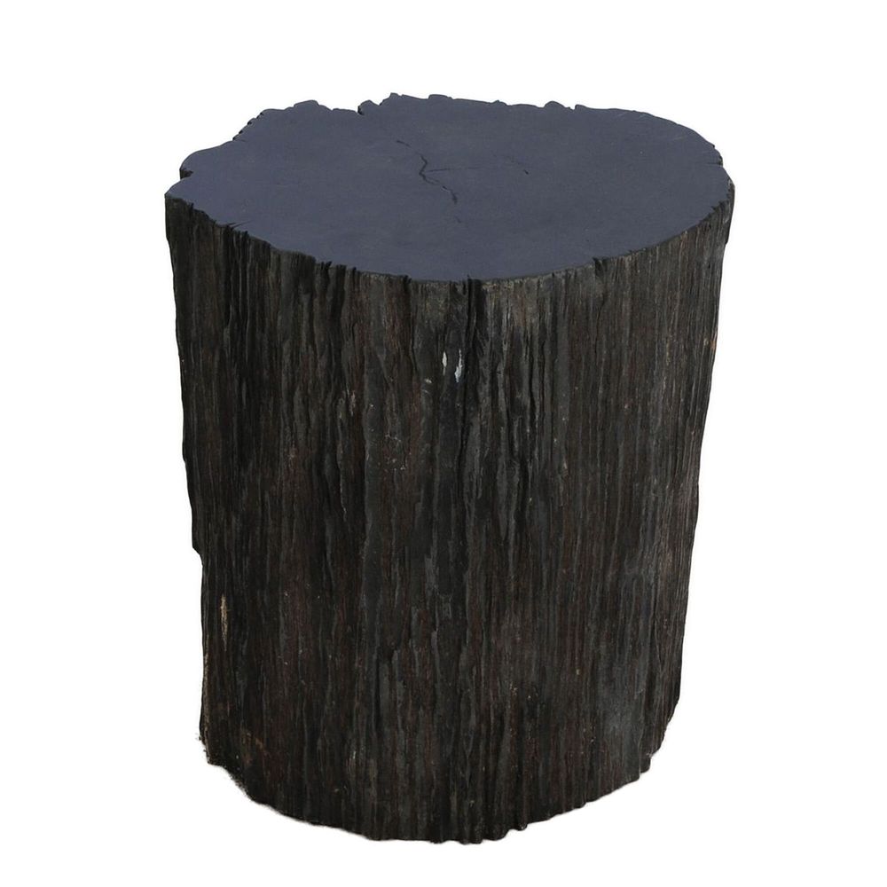 Pièces uniques - Tables d’appoint en bois pétrifié - XYLEIA PETRIFIED WOOD
