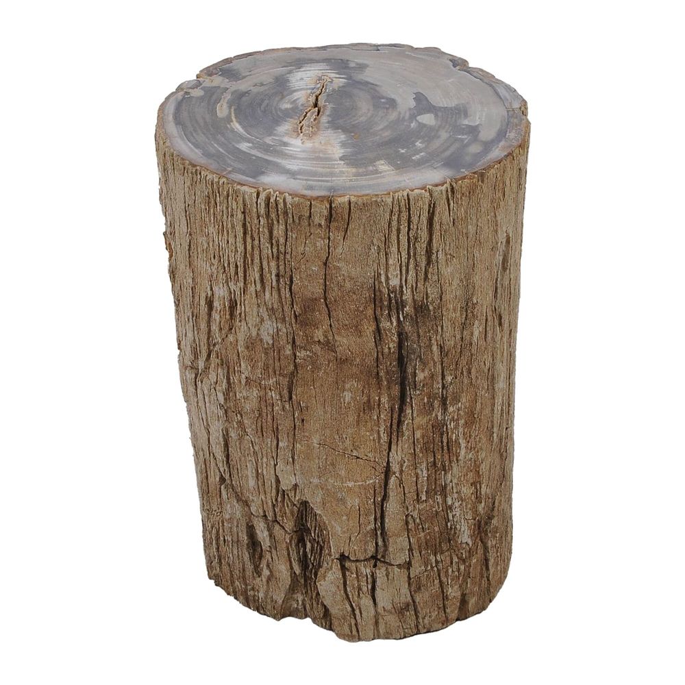 Pièces uniques - Tables d’appoint en bois pétrifié - XYLEIA PETRIFIED WOOD