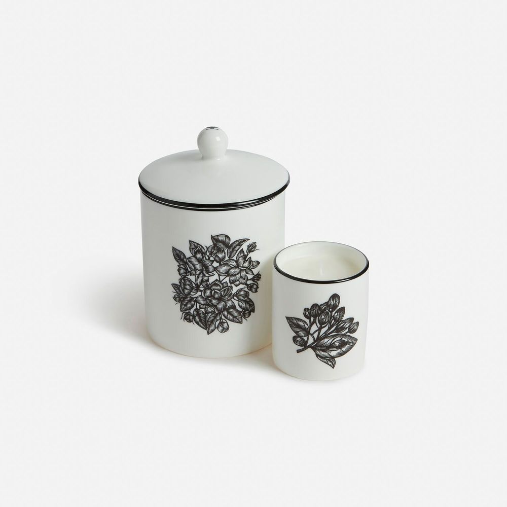 Bougies - Porcelaine parfumée au jasmin - Bougie - SHAKU