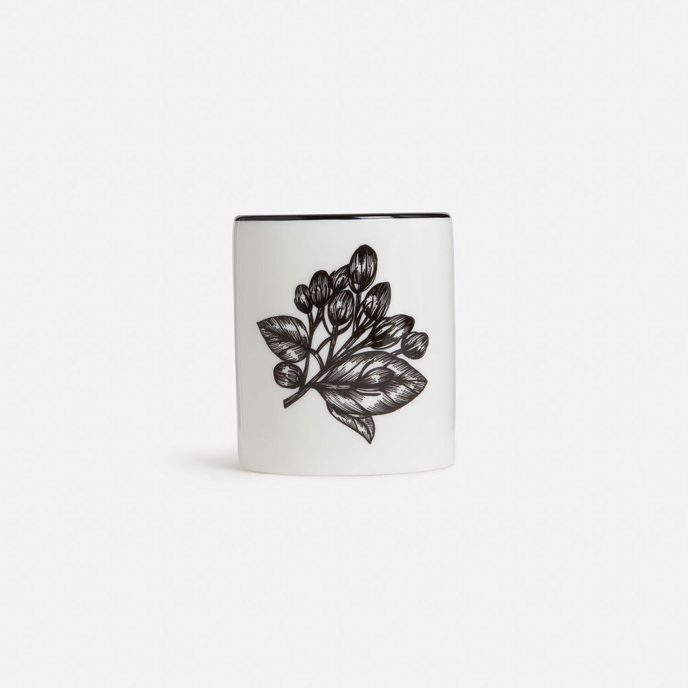 Bougies - Porcelaine parfumée au jasmin - Bougie - SHAKU