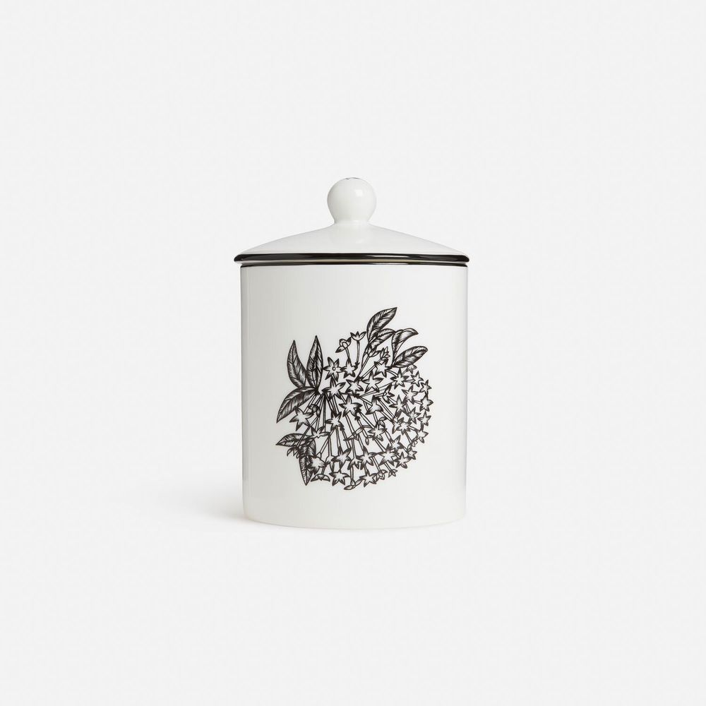 Bougies - Reine de la nuit florale - Bougie parfumée - SHAKU