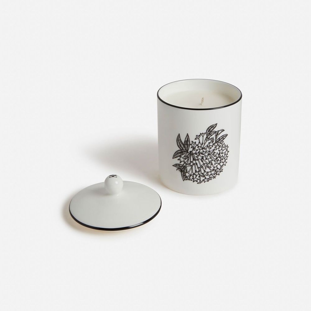 Bougies - Reine de la nuit florale - Bougie parfumée - SHAKU