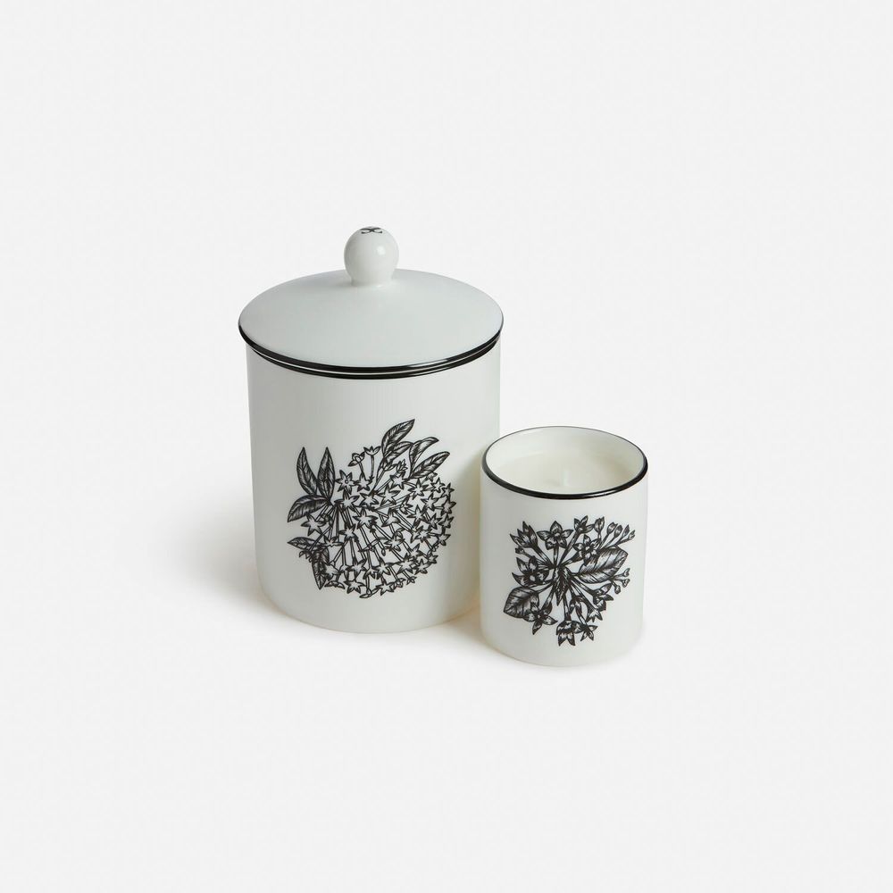 Bougies - Reine de la nuit florale - Bougie parfumée - SHAKU