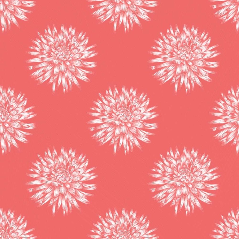 Papiers peints - Dahlia Blush - Papier peint - SHAKU