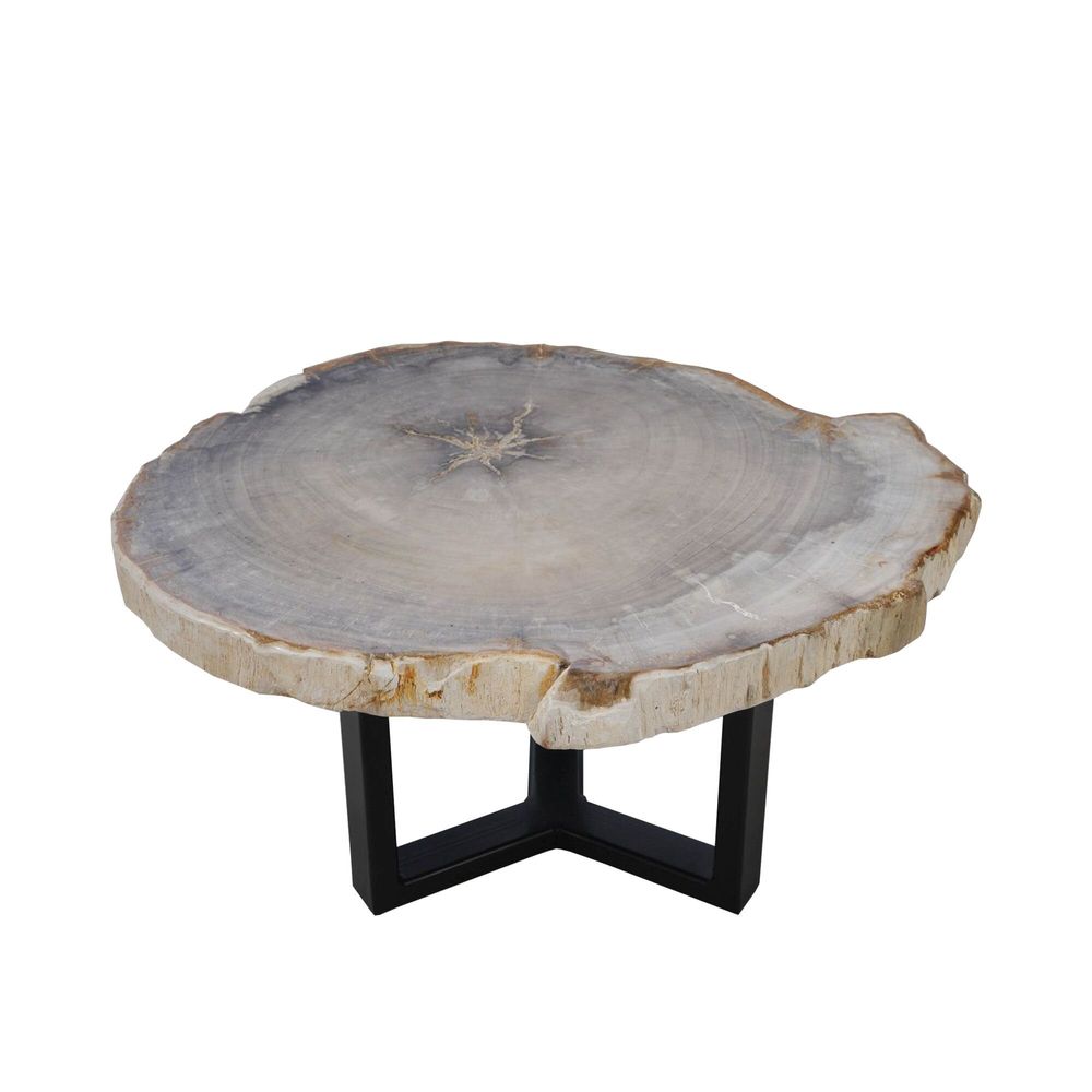 Office furniture and storage - Earth-toned petrified wood coffee tables - XYLEIA PETRIFIED WOOD