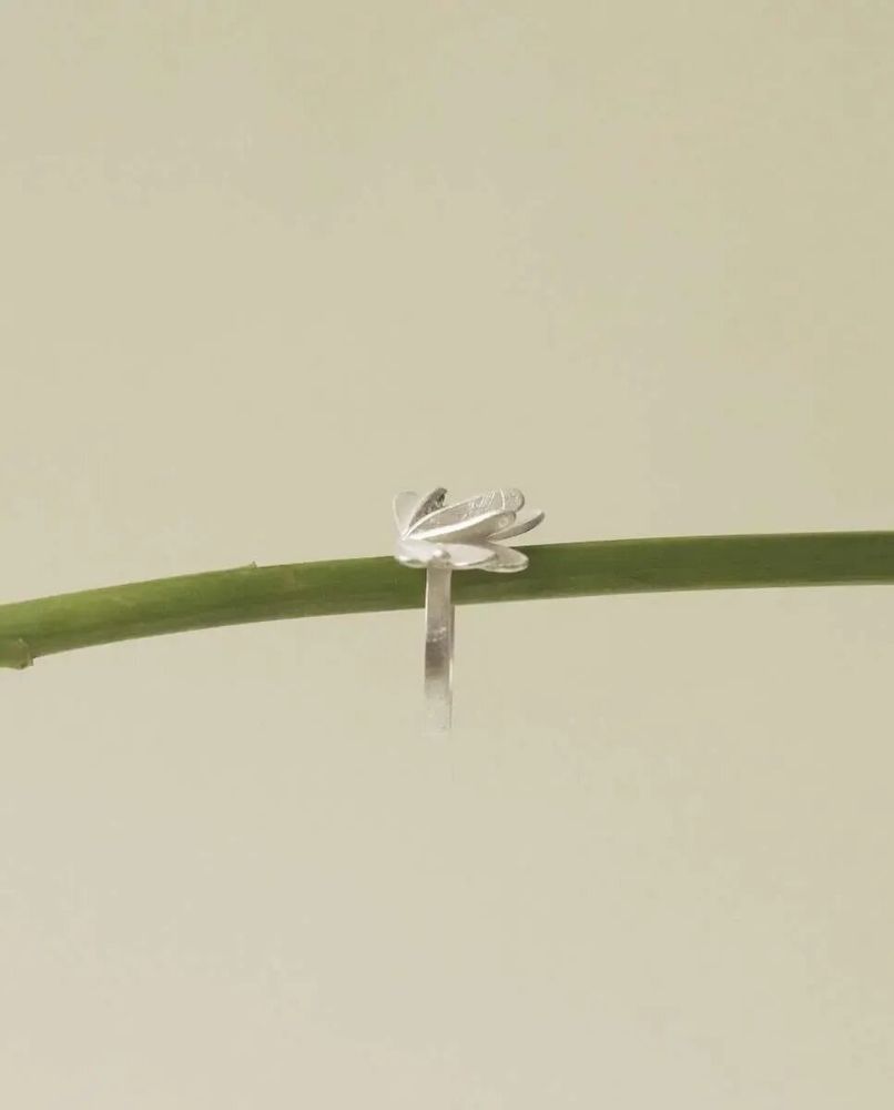 Bijoux - BAGUE EN ARGENT VOL - JOIDART