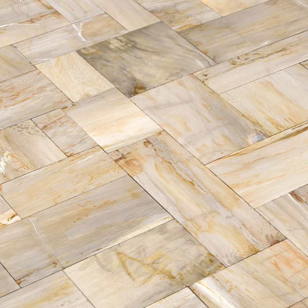 Other wall decoration - Petrified Wood Tiles - XYLEIA PETRIFIED WOOD