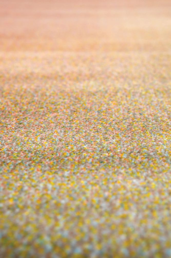 Tapis - Tapis Caro Multicolore 160 x 230 - MAISON VIVARAISE - SDE VIVARAISE WINKLER